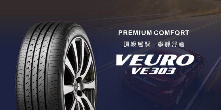 愛駒養車 DUNLOP VEURO VE303